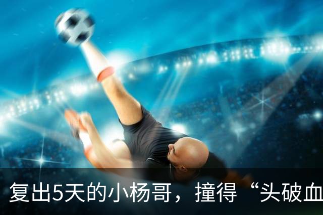 复出5天的小杨哥，撞得“头破血流”