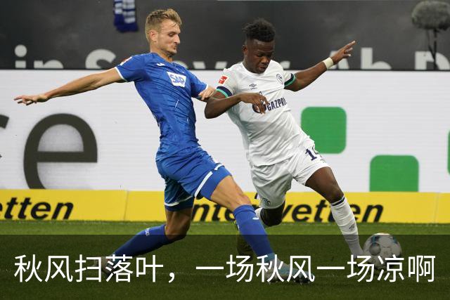 秋风扫落叶，一场秋风一场凉啊