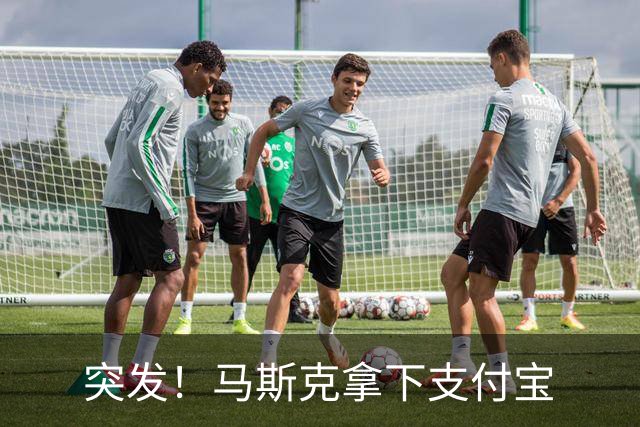 突发！马斯克拿下支付宝