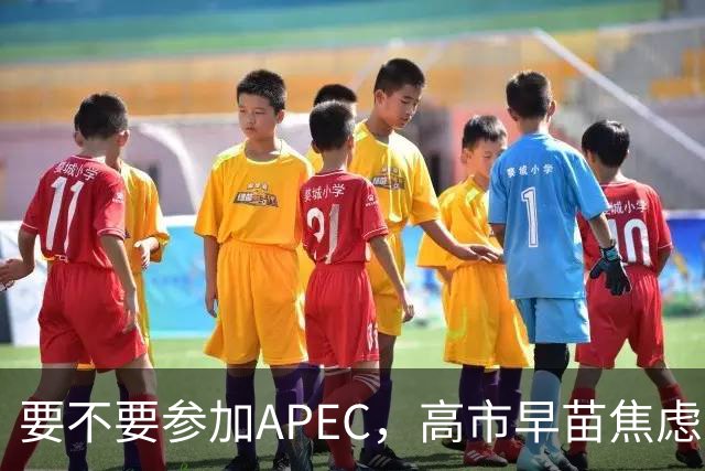 要不要参加APEC，高市早苗焦虑到抓耳挠腮