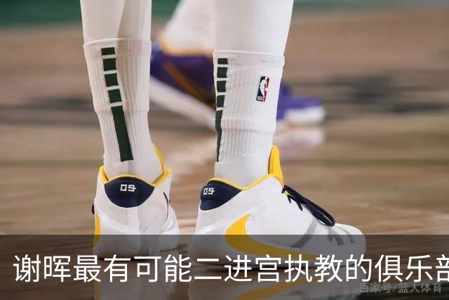 谢晖最有可能二进宫执教的俱乐部预测！本赛季中甲表现不俗有冲超希望