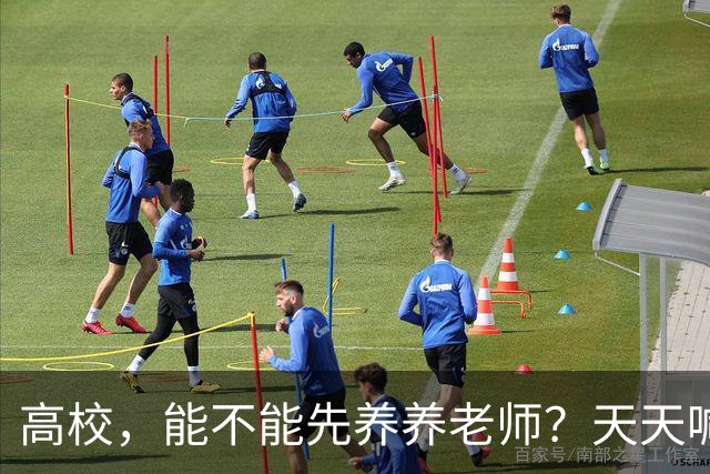 高校，能不能先养养老师？天天喊着立德树人，可日均工作10.5小时、56.6%的教师心理不健康——被压榨的老师，怎么温柔育人？