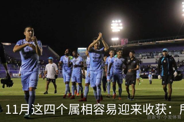 11月这四个属相容易迎来收获：所有惊喜，都是长期默默耕耘的结果