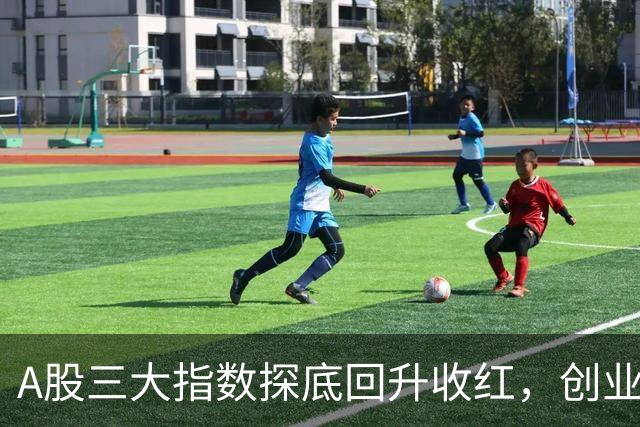 A股三大指数探底回升收红，创业板指涨超4%，机器人行业涨7.98%！