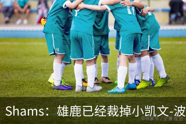 Shams：雄鹿已经裁掉小凯文-波特